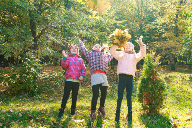 osinniy dytyachiyq fotoset shkola